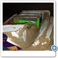 More Termite Damage to Stored Items in Possum Creek.