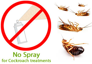No spray for cockroach treatments